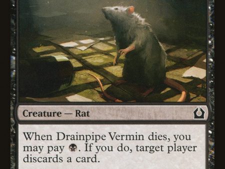 Drainpipe Vermin [Return to Ravnica] Online Sale