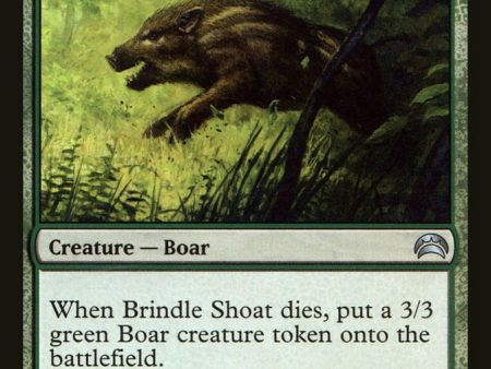 Brindle Shoat [Planechase 2012] Online