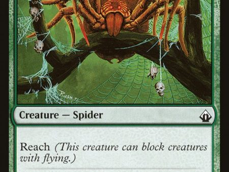 Canopy Spider [Battlebond] Online Hot Sale