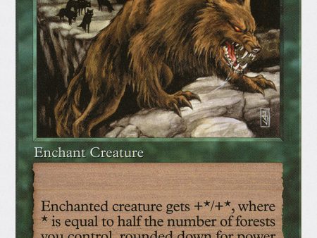 Aspect of Wolf [Fifth Edition] Supply